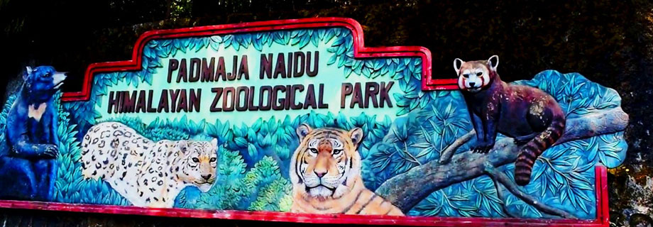 Padmaja Naidu Zoological Park