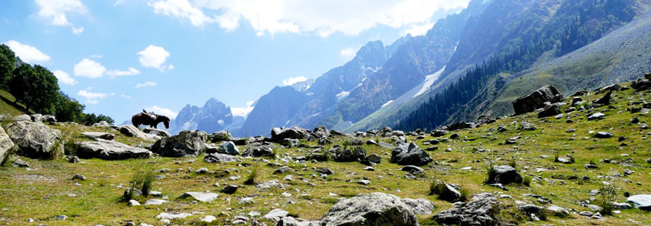 Sonamarg